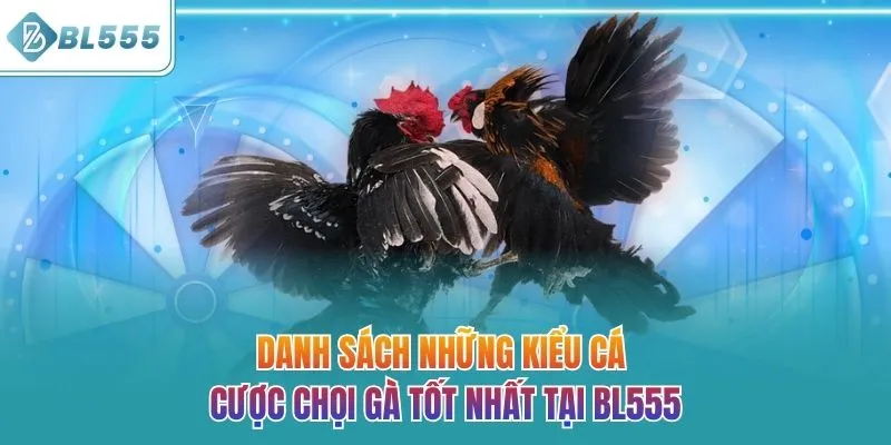 Danh sách những kiểu cá cược chọi gà tốt nhất tại BL555