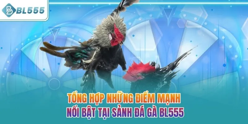 Tổng hợp những điểm mạnh nổi bật tại sảnh đá gà BL555